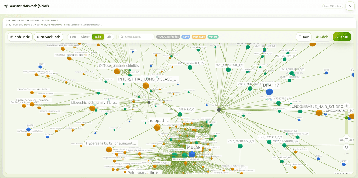 Knowledge Graph showing gene, phenotype, and variant network